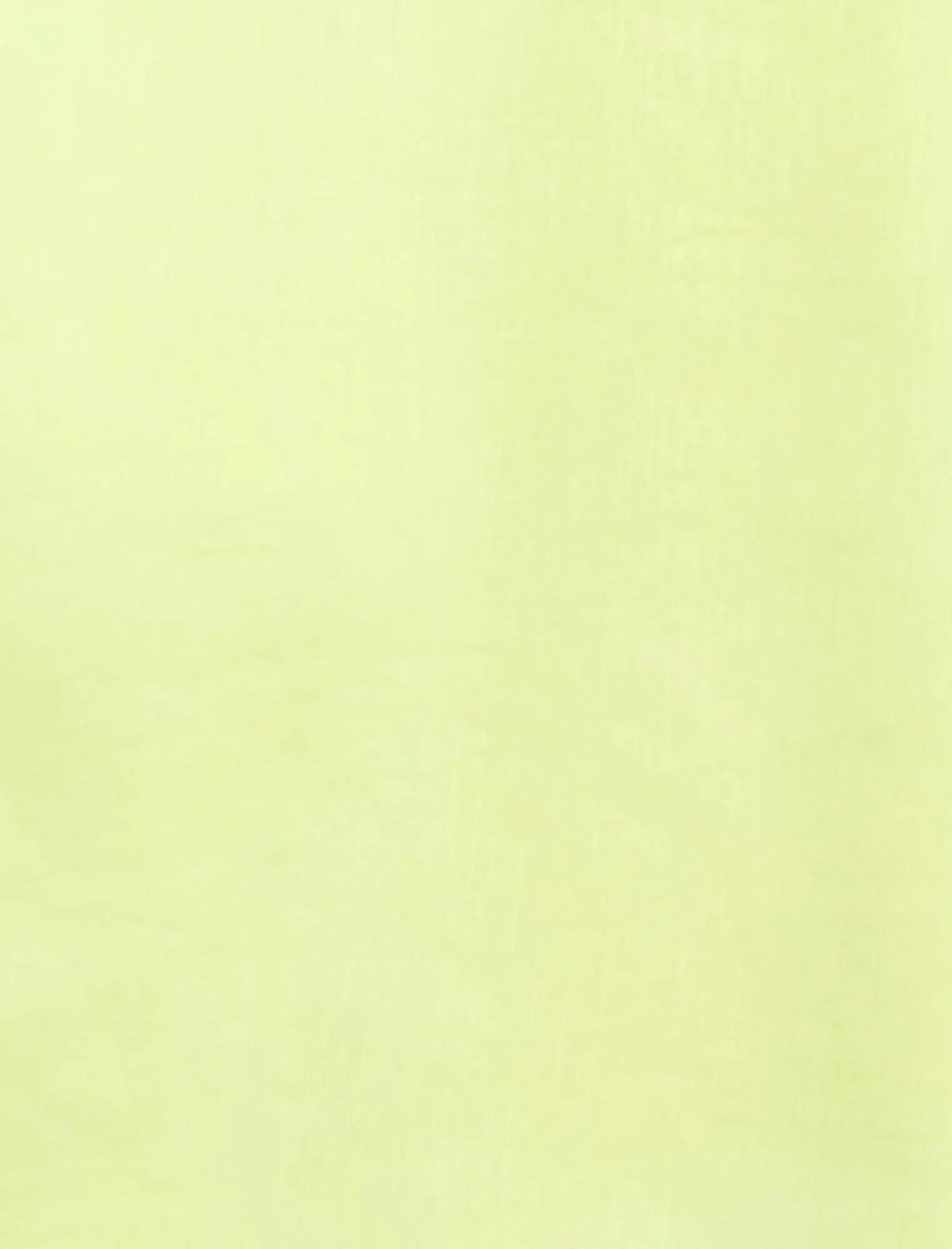 Airy Sheer Textured Pant