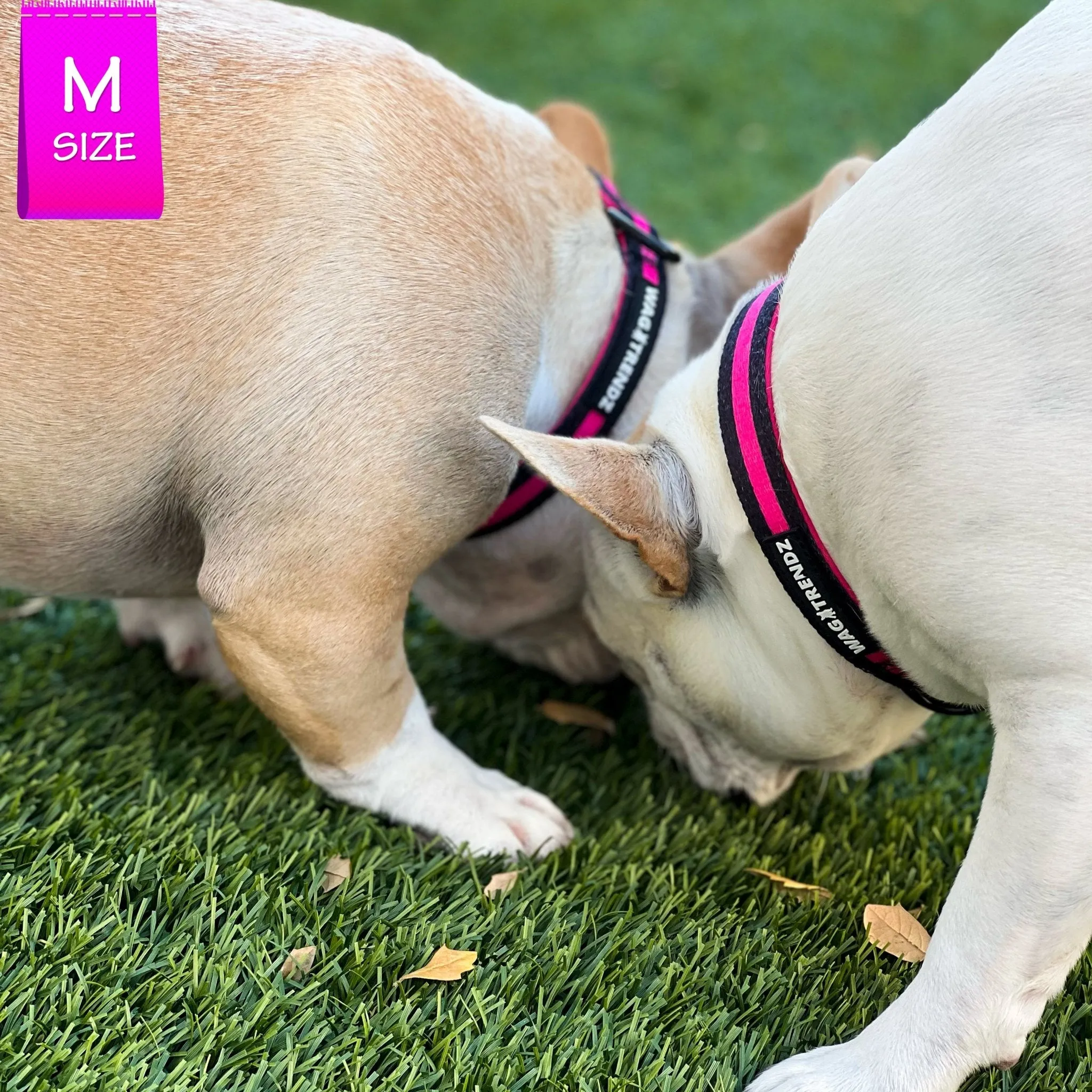 Nylon Dog Collar | Pink Camo Chic (SHēk)
